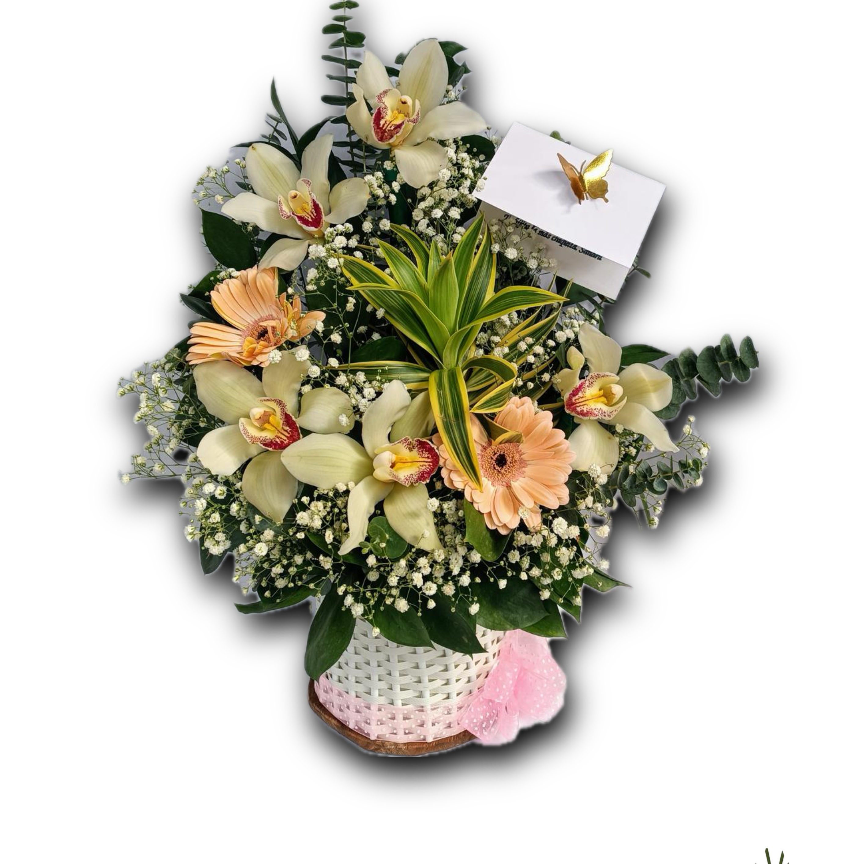 Elegancia Floral