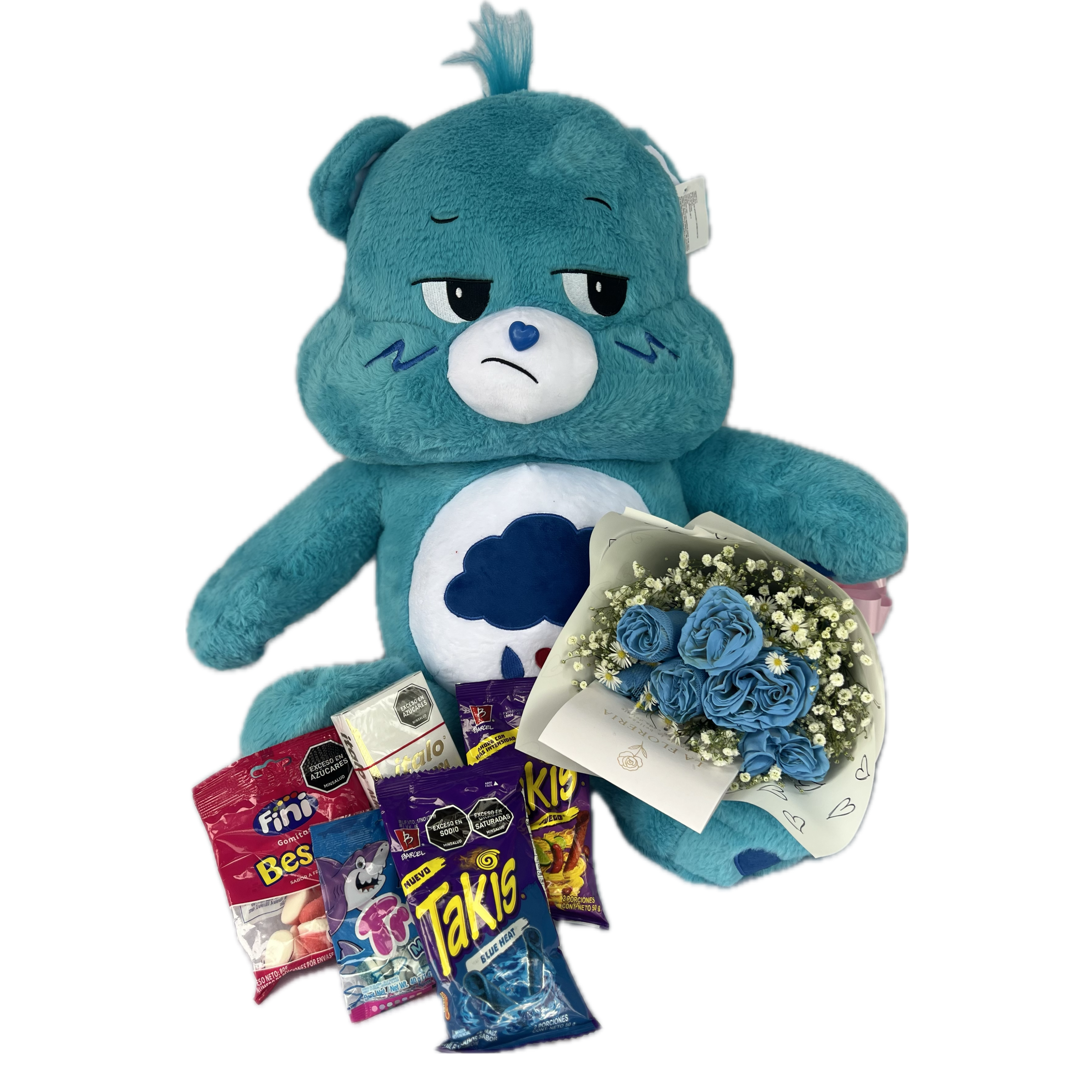 Set de Peluche Oso Cariñosito