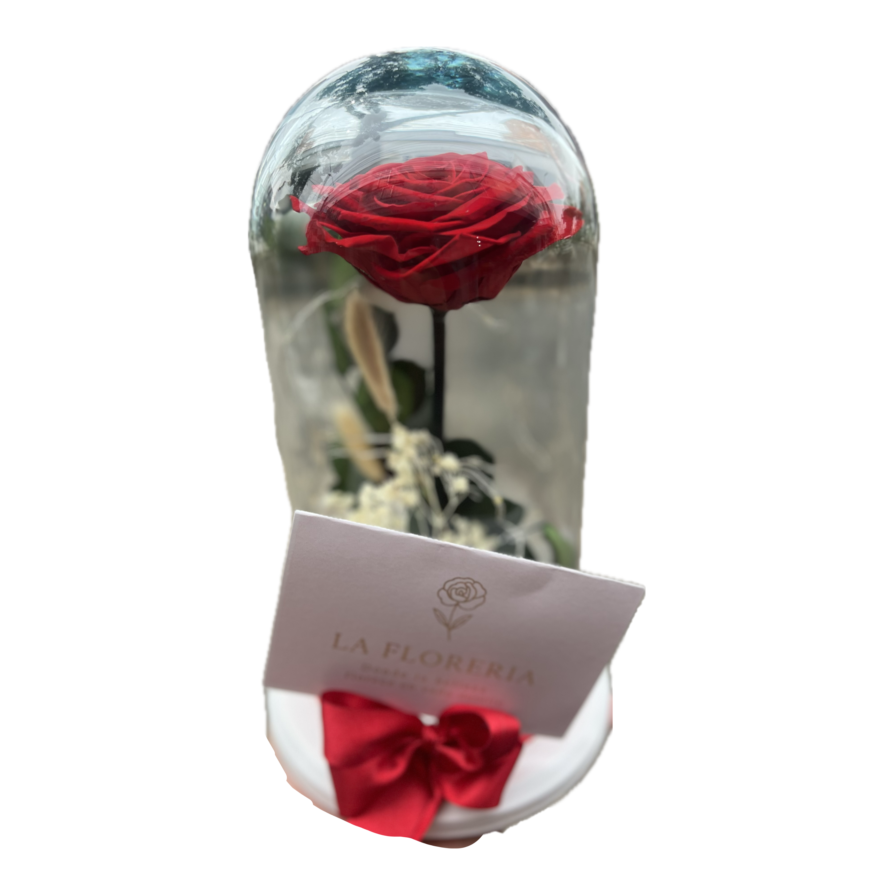 🌹 Rosa Eterna Encantada