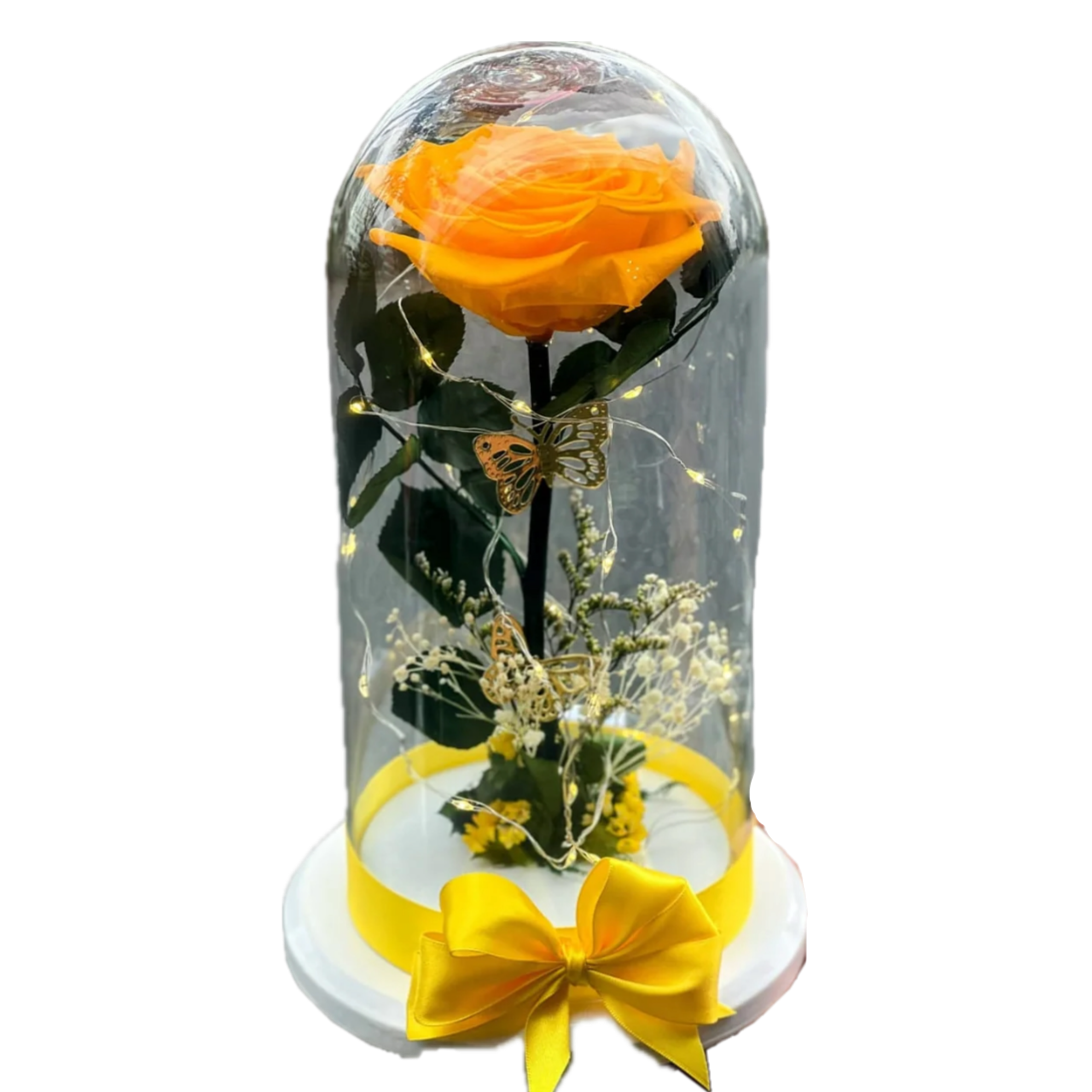 El Regalo de la Belleza Infinita
