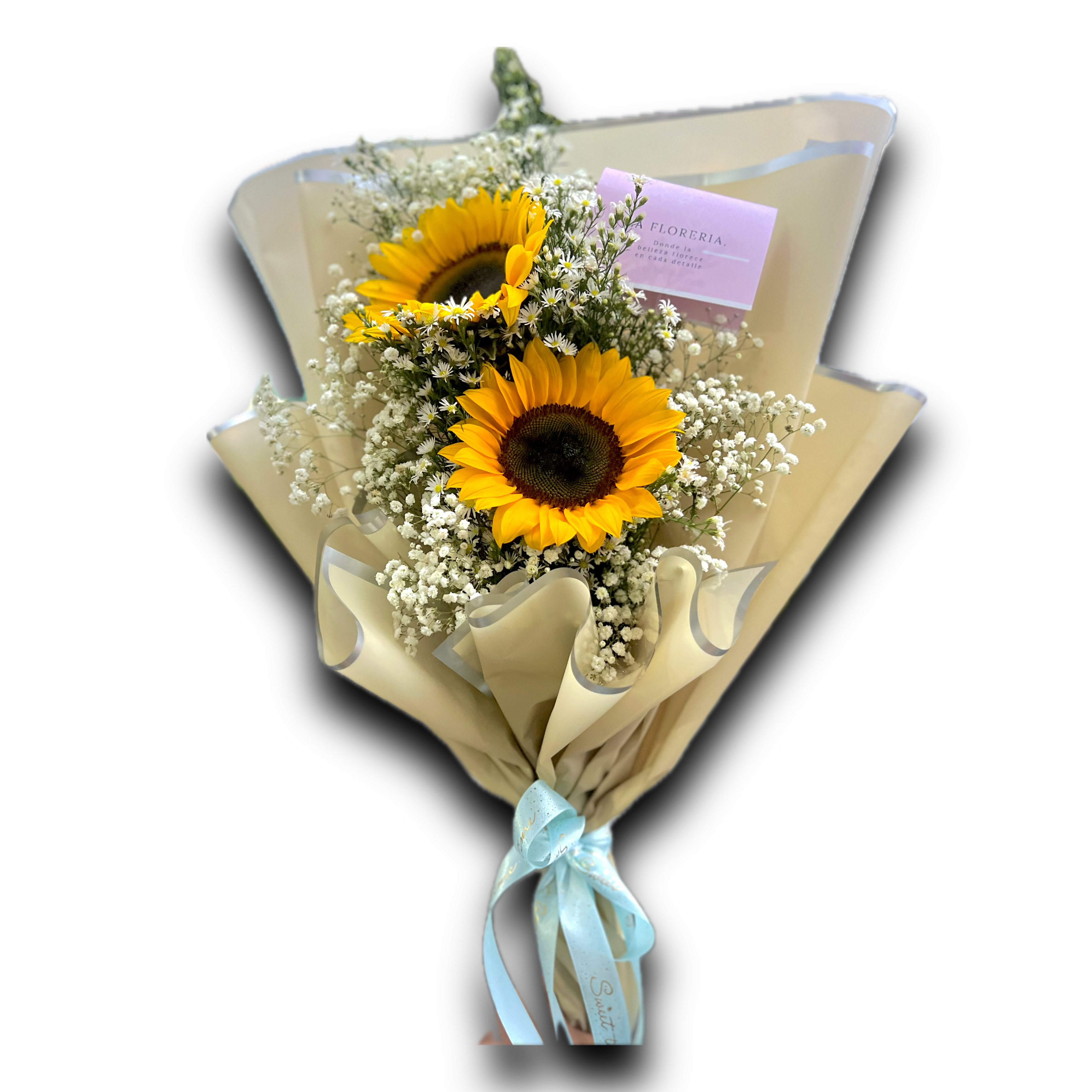 Luz Floral