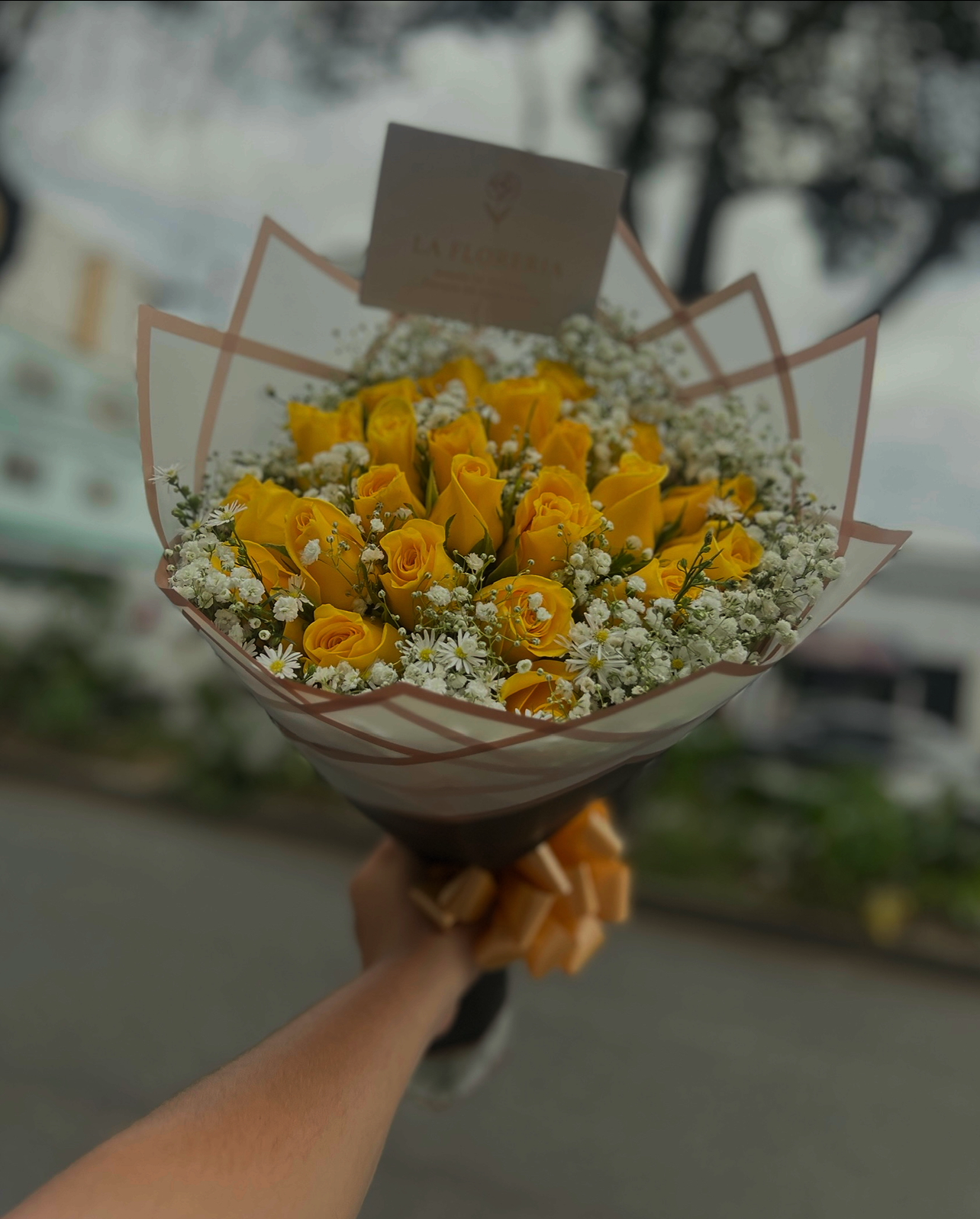 Un Rayo de Sol para Ti ☀️