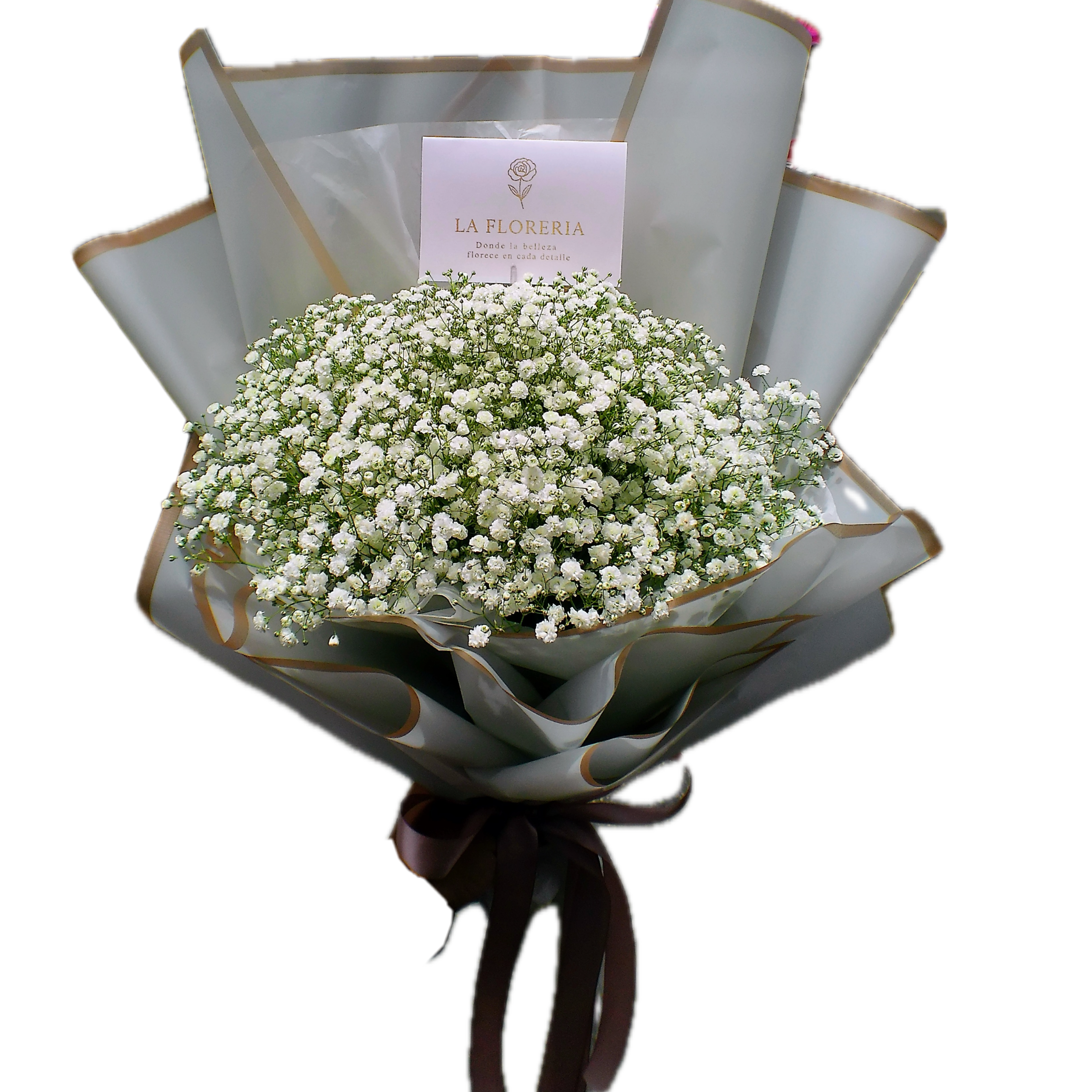 Bouquet "Nube de Amor"