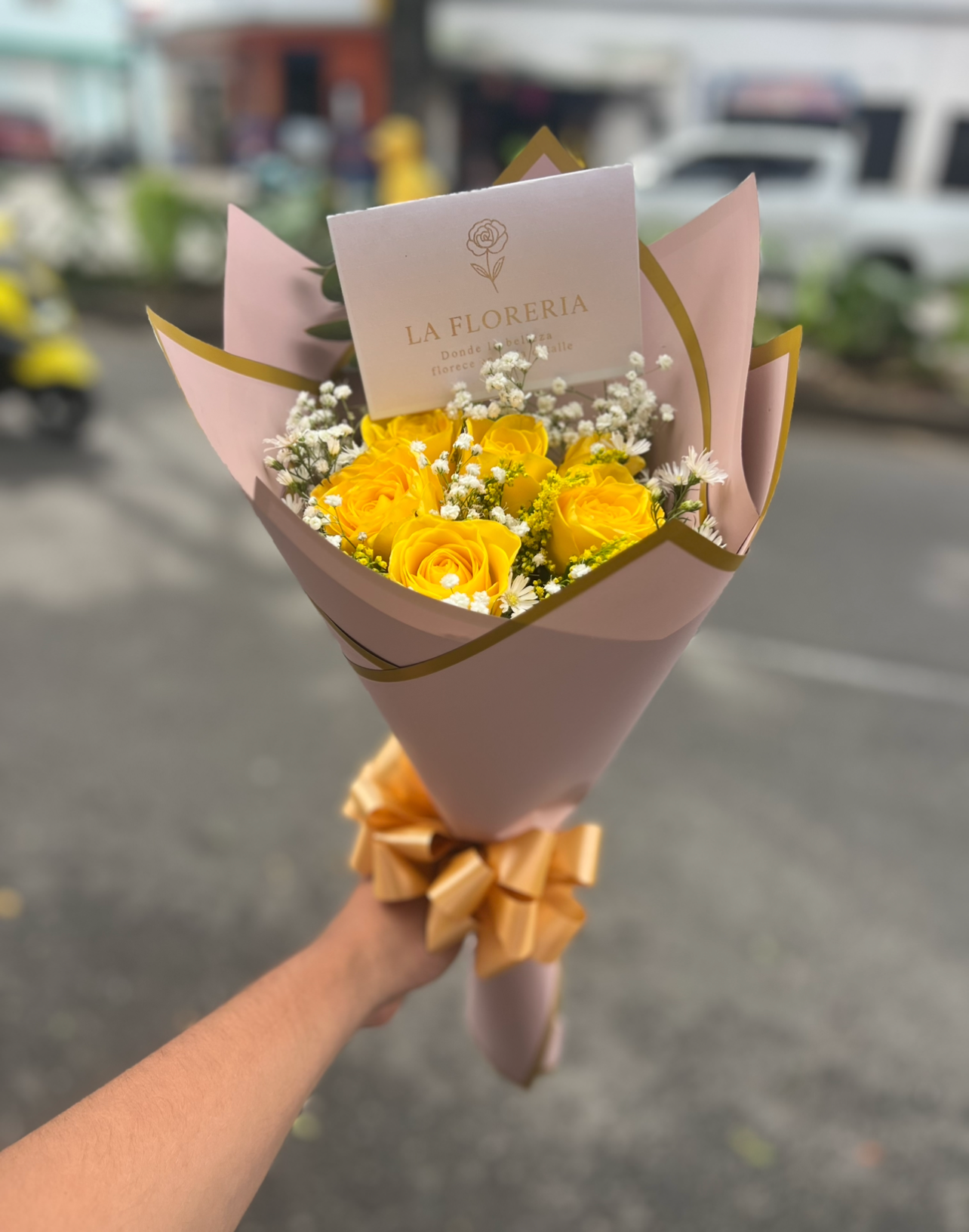 “Alegría Dorada”