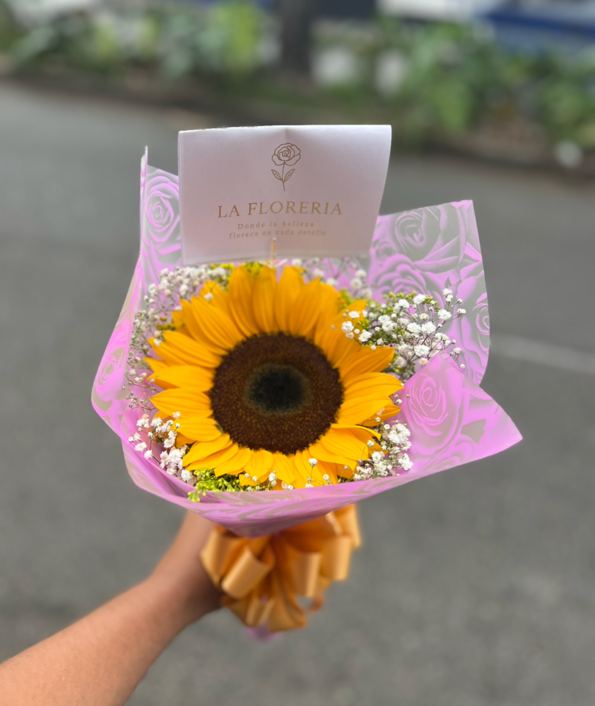 Alegre Despertar" ☀️