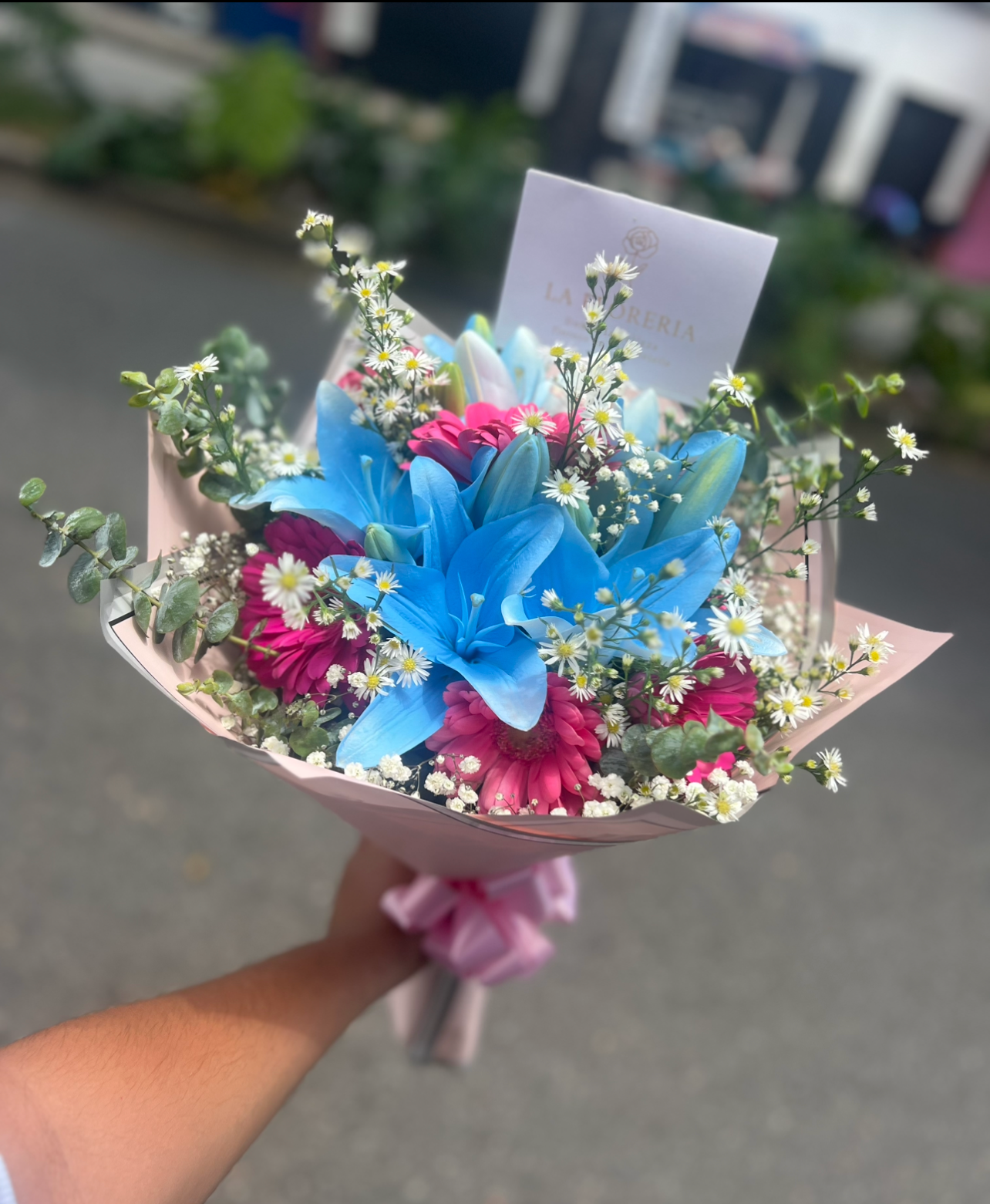 "Fantasía de Colores"