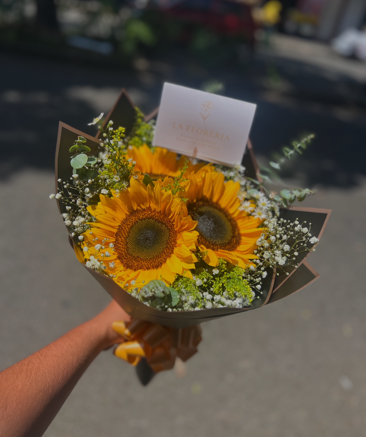 Susurro del Sol" 💖