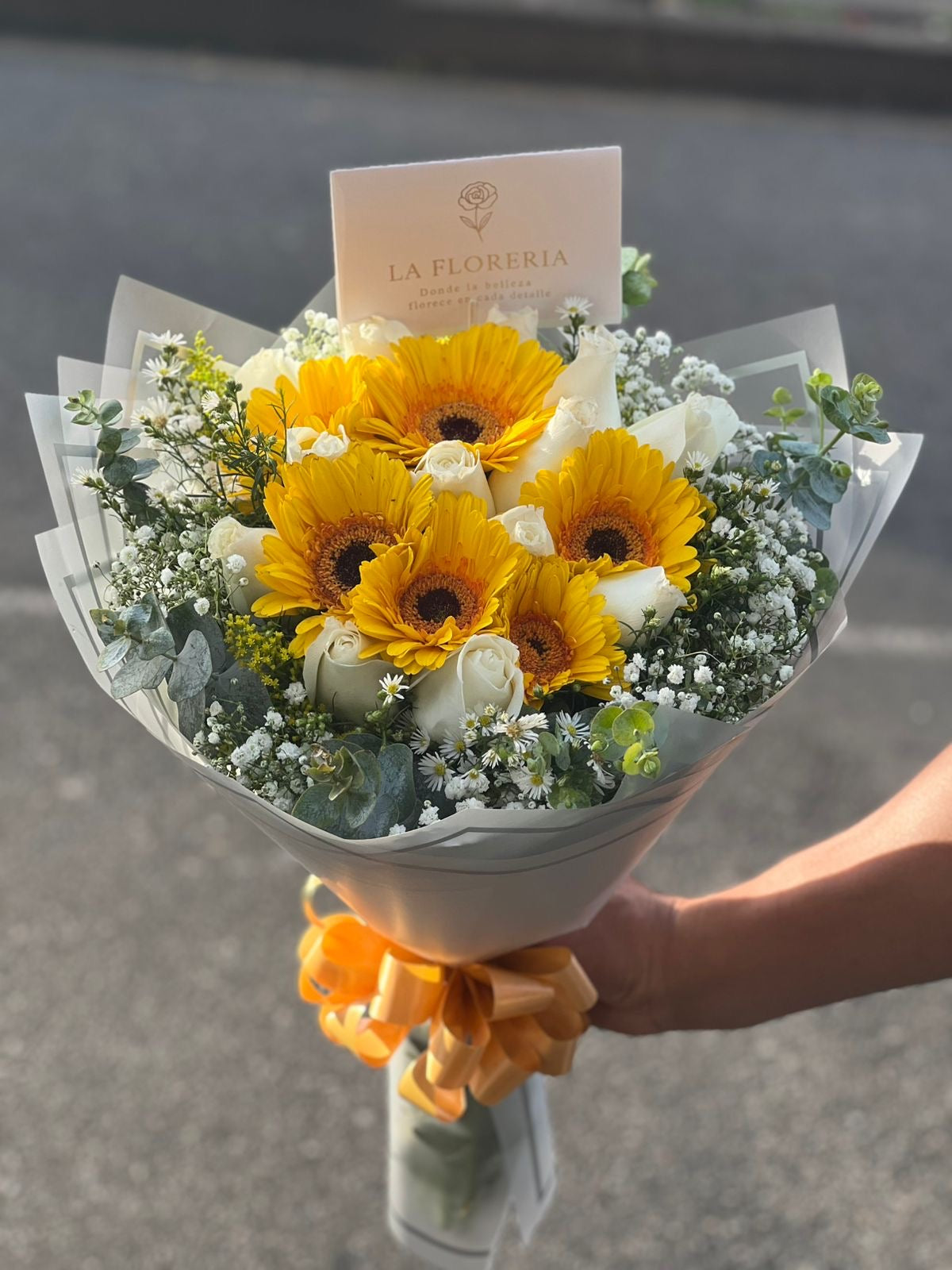 Alegría y Luz ☀️