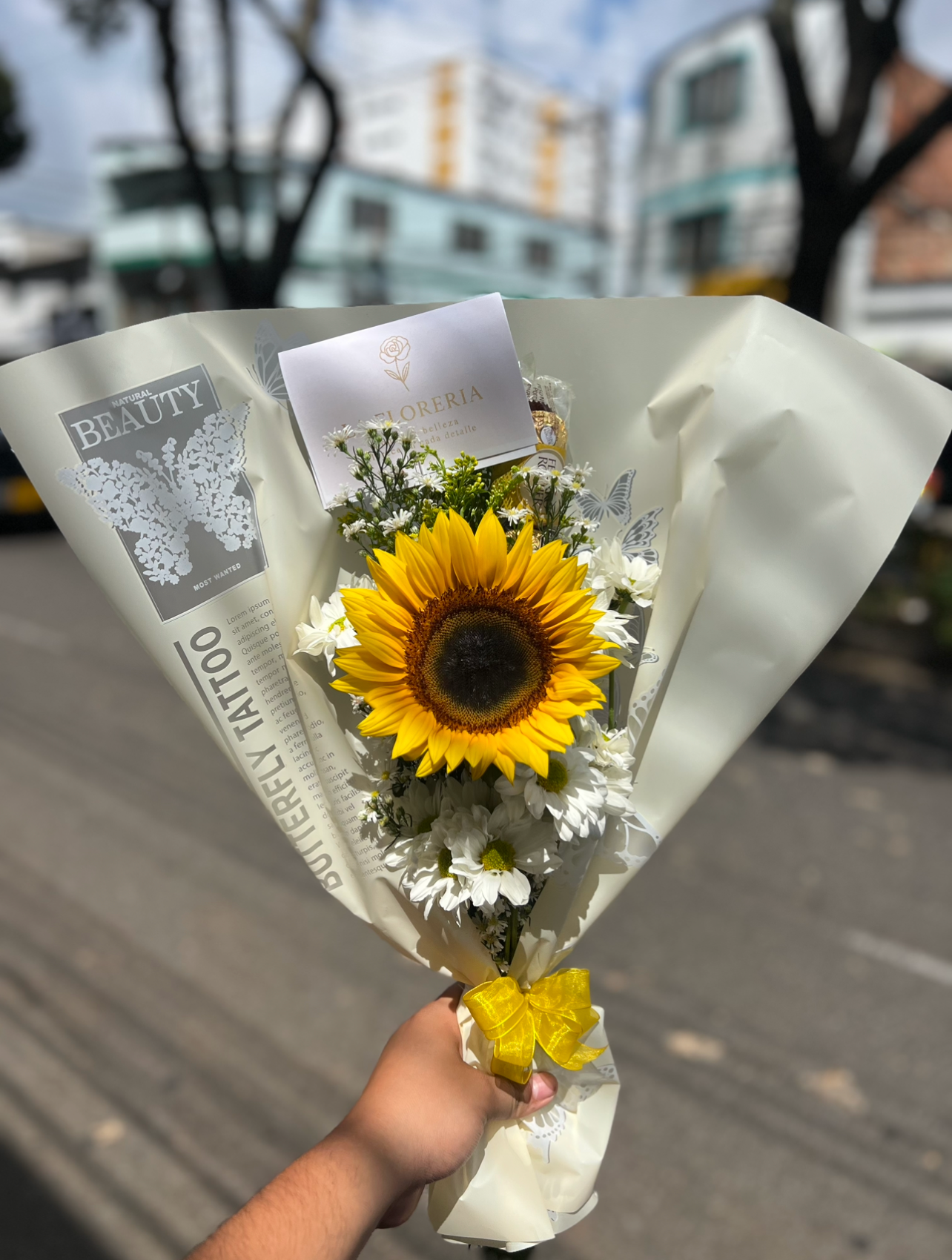 Sol de Vida