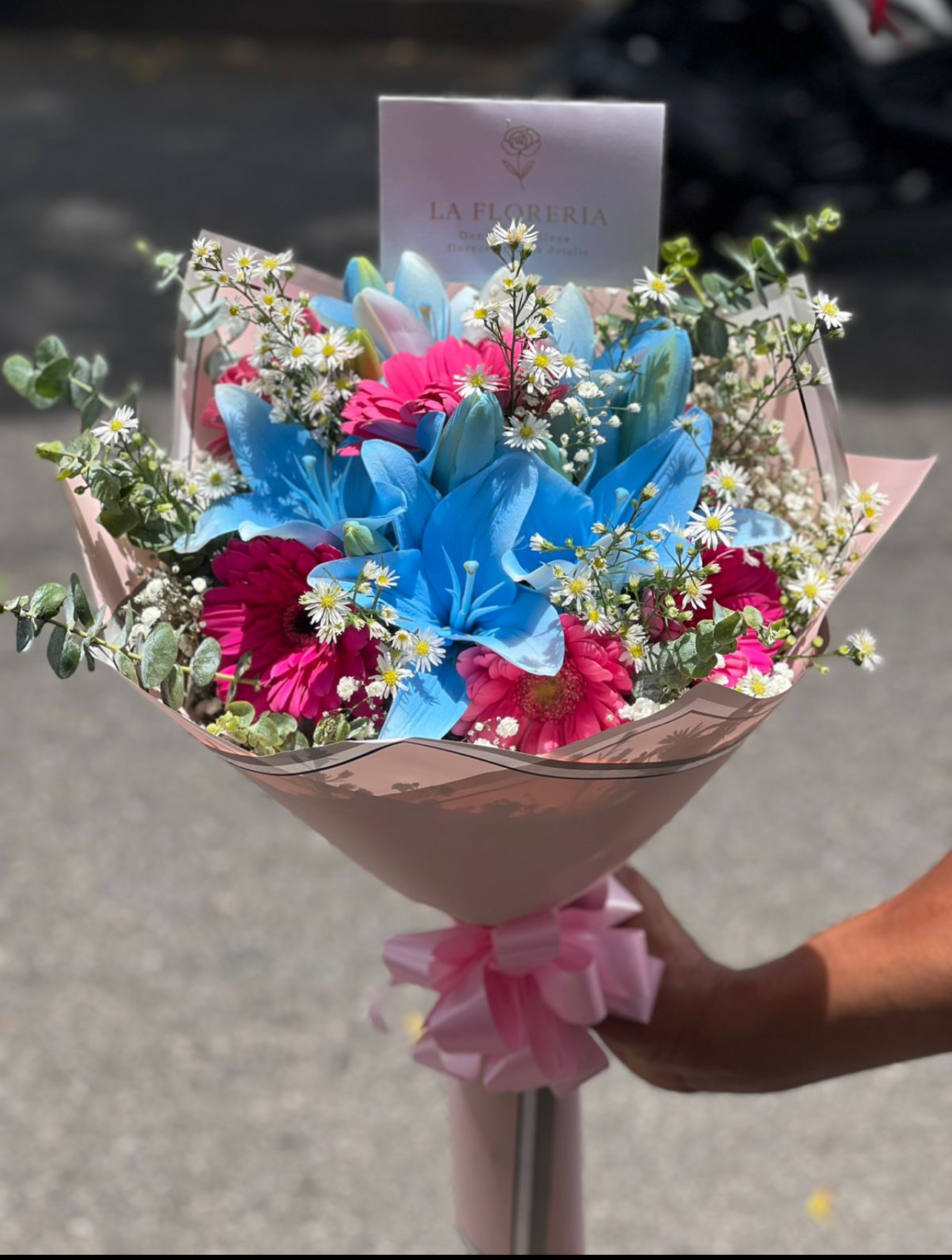 "Fantasía de Colores"