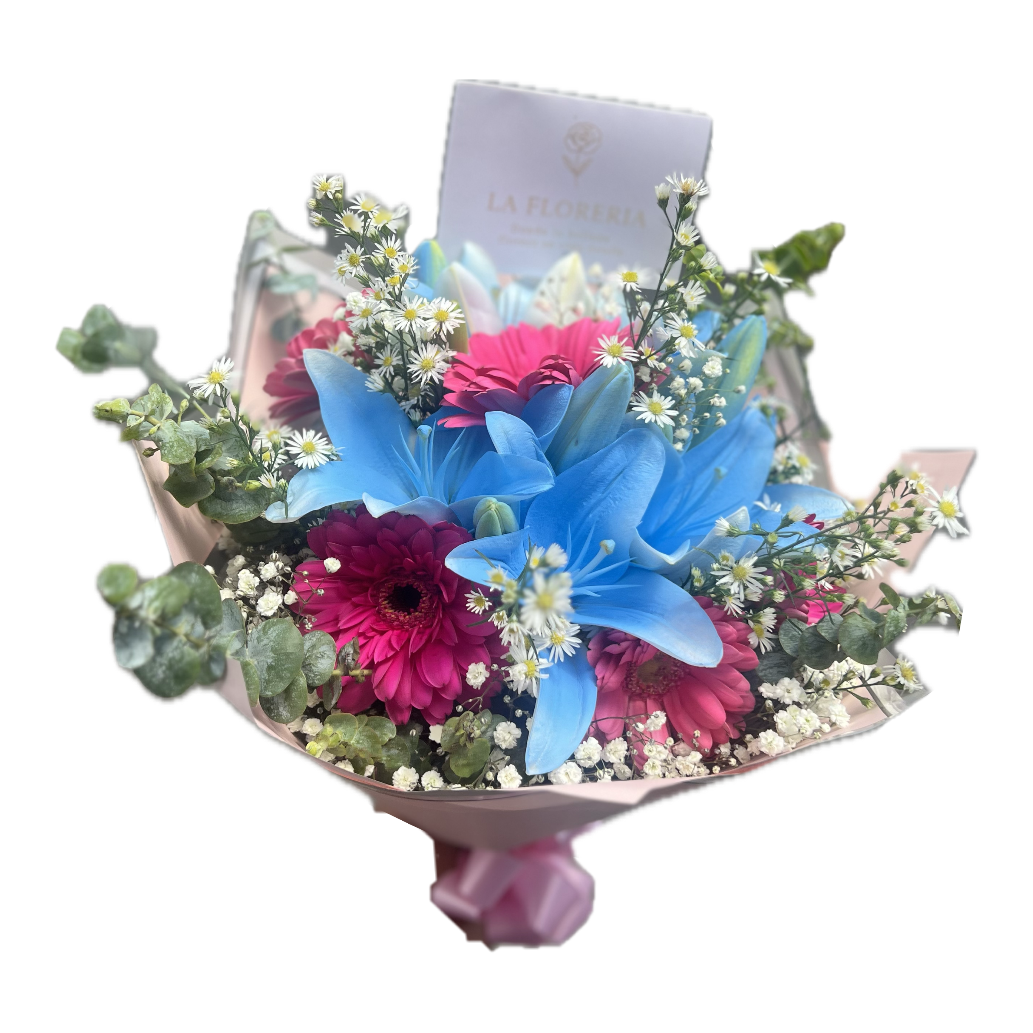 "Fantasía de Colores"