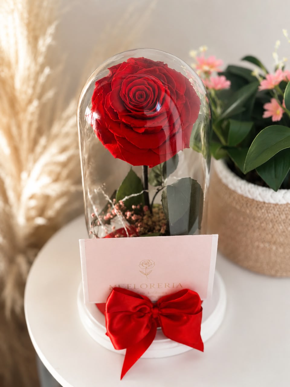 🌹 Rosa Eterna Encantada